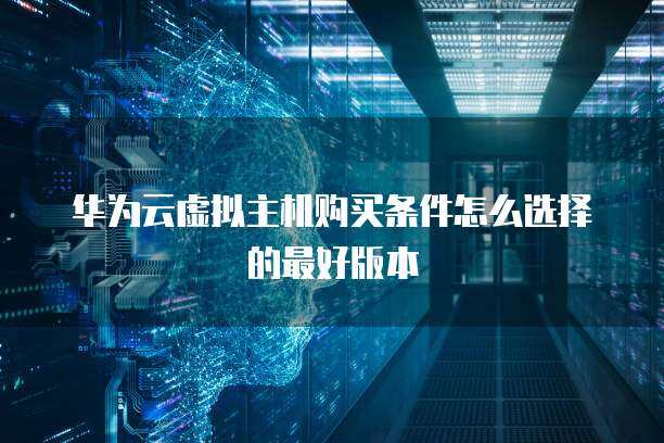 如何選擇最適合個(gè)人互聯(lián)網(wǎng)服務(wù)的虛擬主機(jī)購買條件與設(shè)置指南